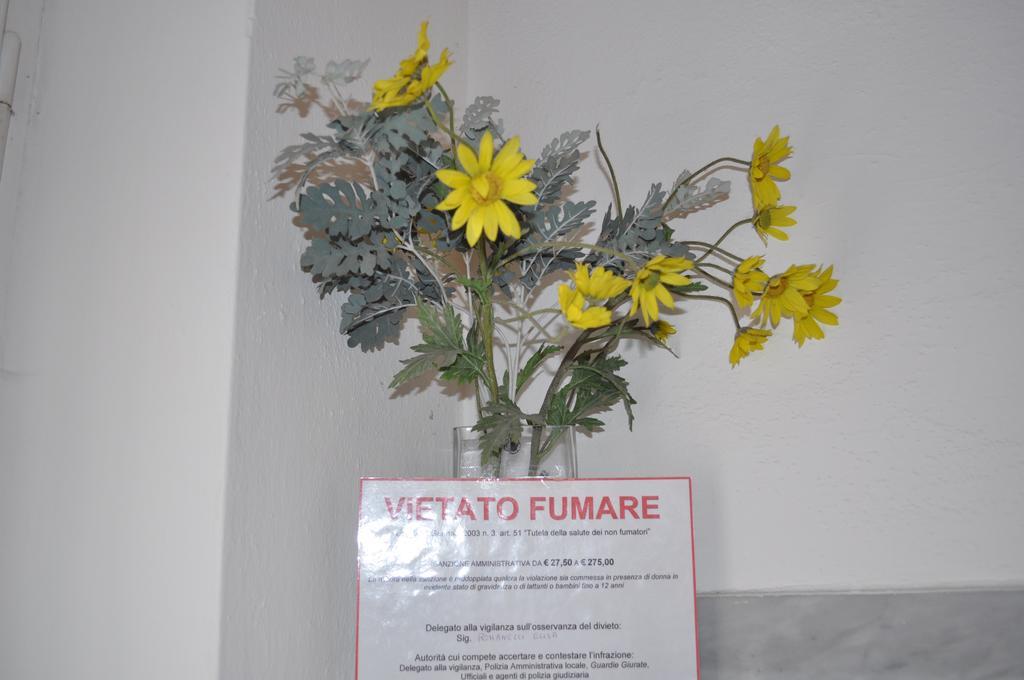 Elisa Gasthof Pisa